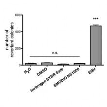 NS1000 Non-mutagenicity of FluoroVue